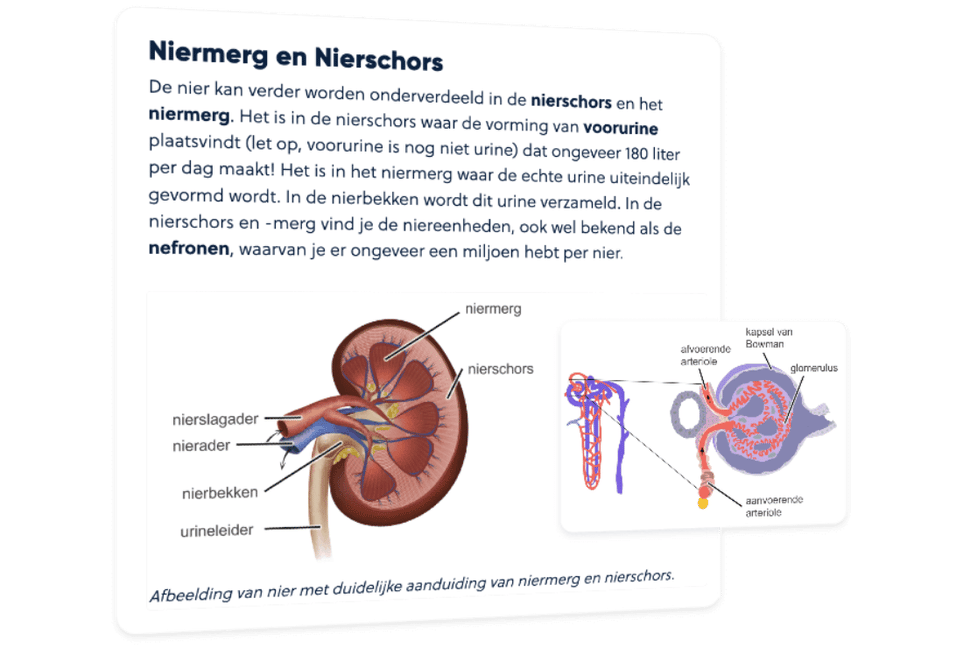 Samenvattingen lezen